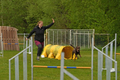 BHV-Agility-wedstrijd-20-04-24-1